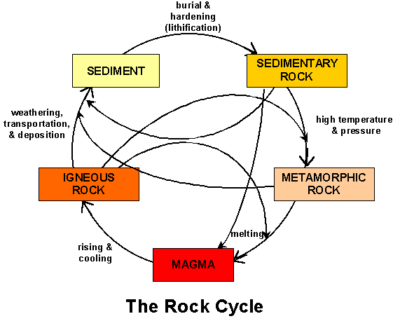 The Rock Cycle: Magma>Igneous>Sedimentary>Metamorphic>Magma>...
