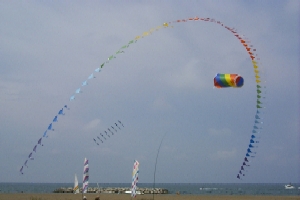 Kites fly over Lake Erie